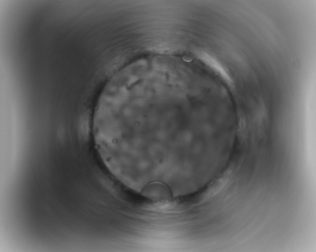 X0000094790065200711301614