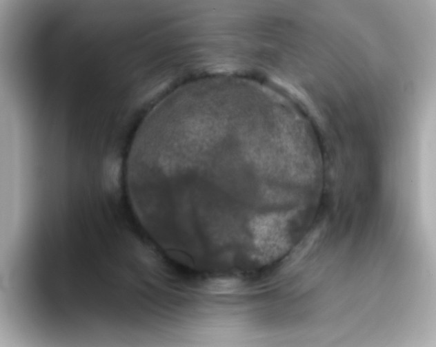 X0000094790066200711301614