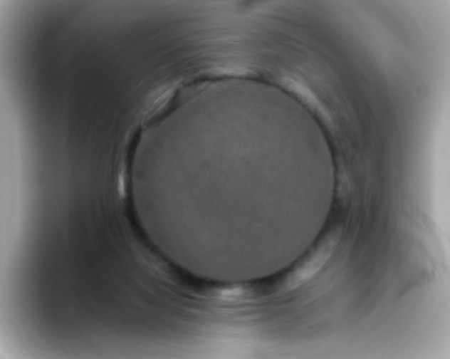 X0000094790068200711301614