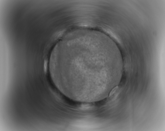 X0000094790070200711301614