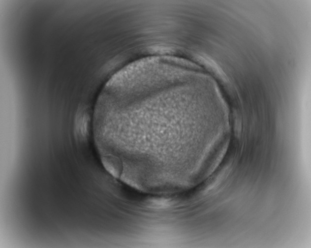 X0000094790071200711301614