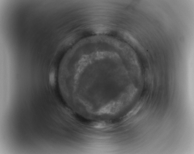 X0000094790074200711301614