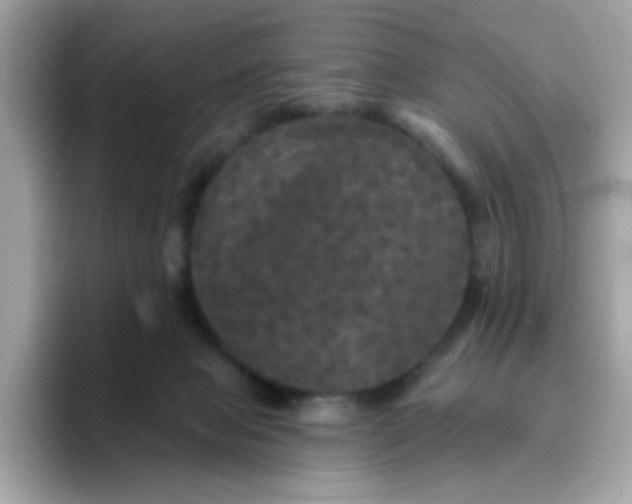 X0000094790077200711301615