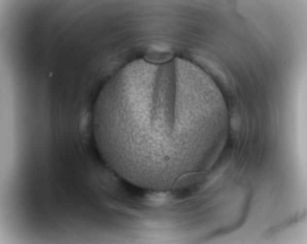 X0000094790079200711301615