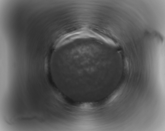 X0000094790080200711301615