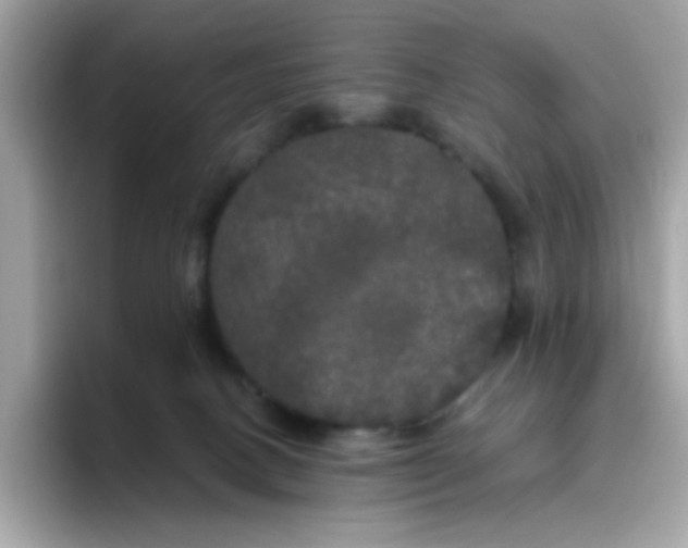 X0000094790082200711301615