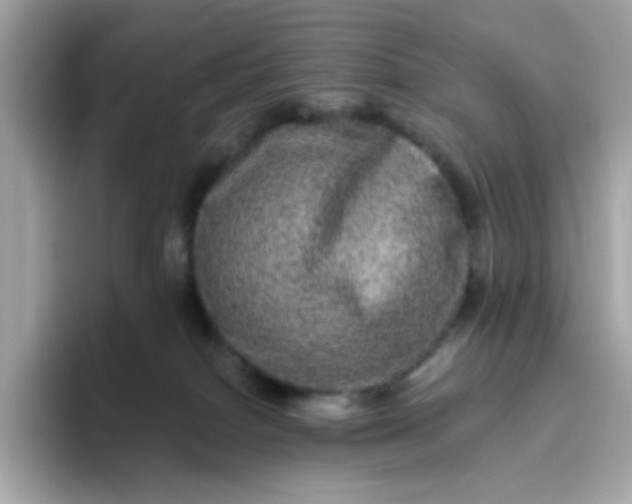 X0000094790086200711301615