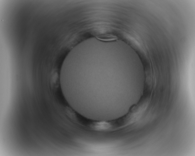 X0000094790087200711301615