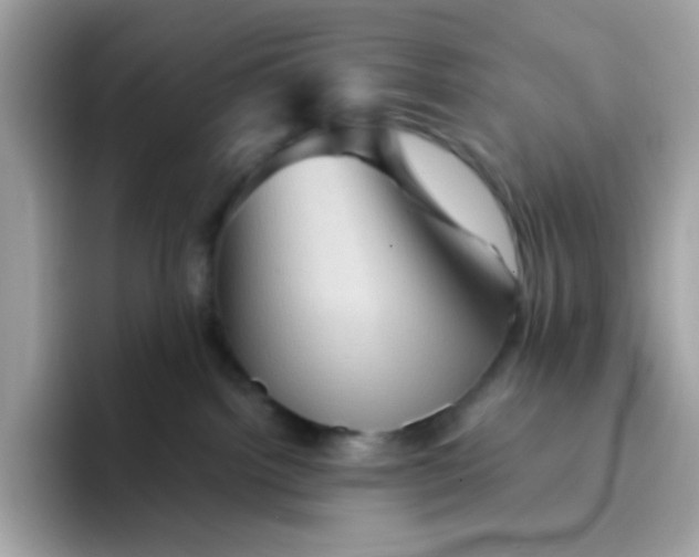 X0000094790092200711301615