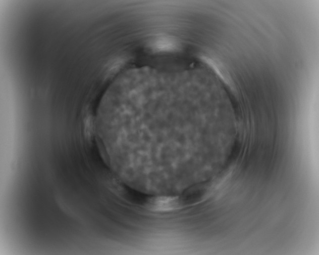 X0000094790093200711301615