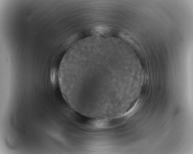 X0000094790094200711301615