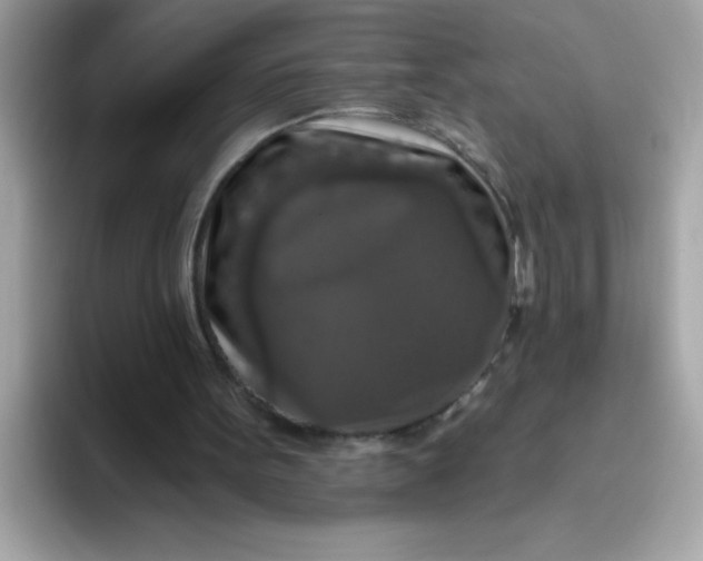 X0000094790099200711301614