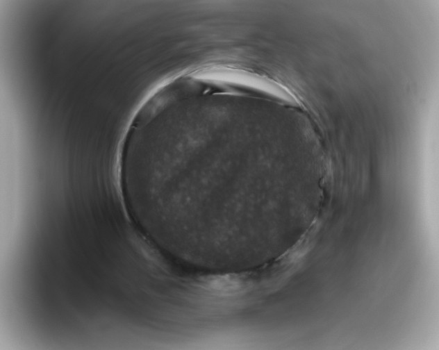 X0000094790100200711301614