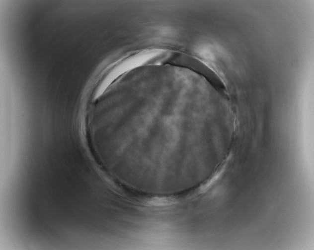 X0000094790101200711301614