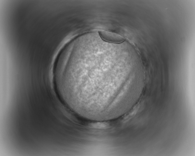 X0000094790102200711301614