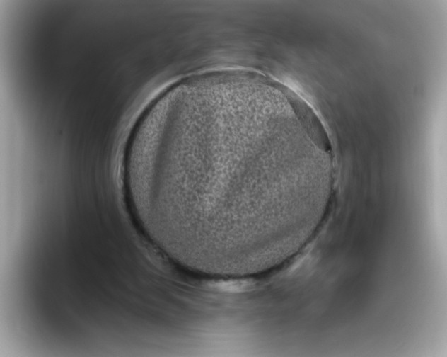 X0000094790103200711301614