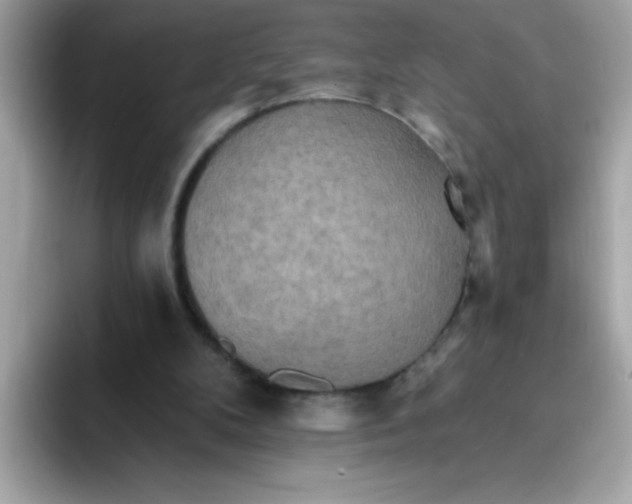 X0000094790104200711301614