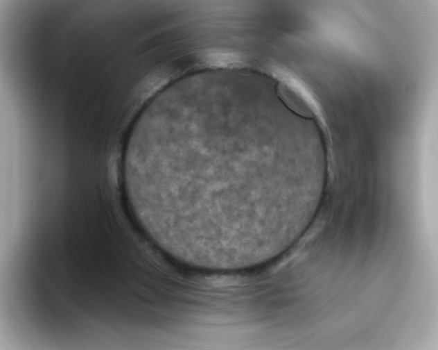 X0000094790105200711301614