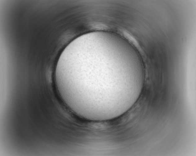 X0000094790106200711301614