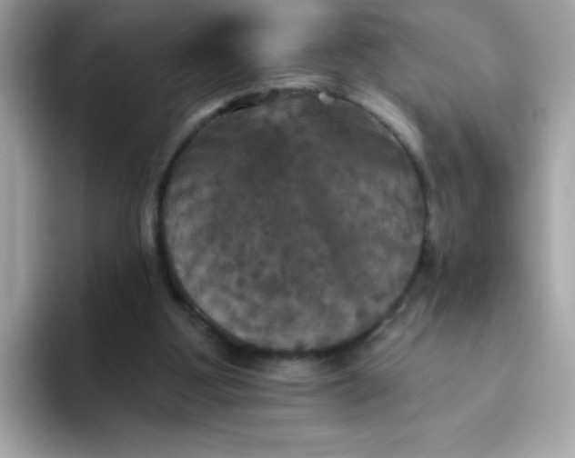 X0000094790107200711301614