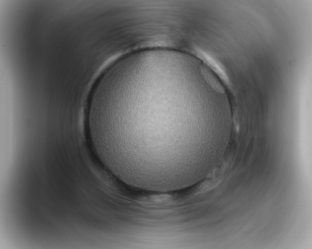 X0000094790108200711301614