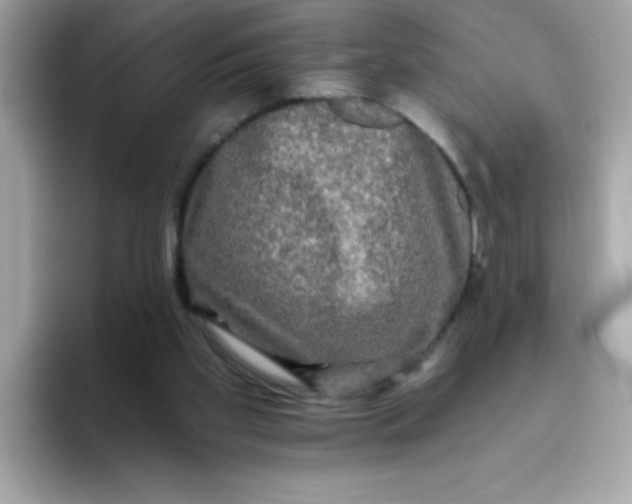 X0000094790109200711301614