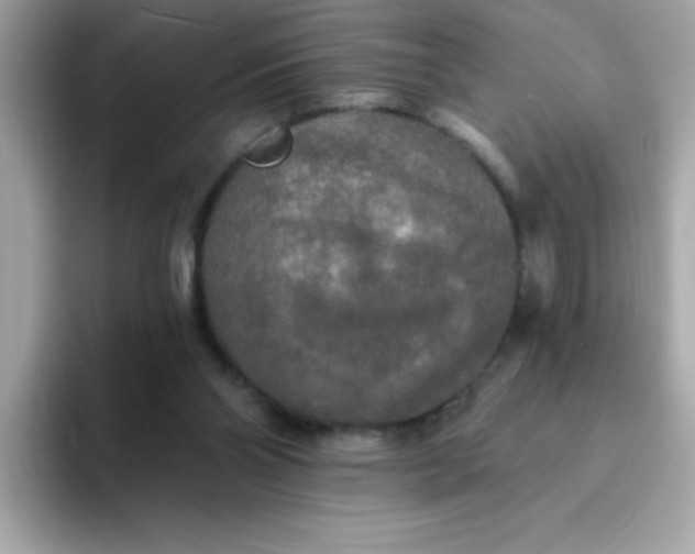 X0000094790110200711301614