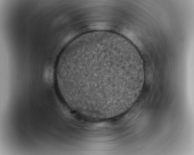 X0000094790111200711301614