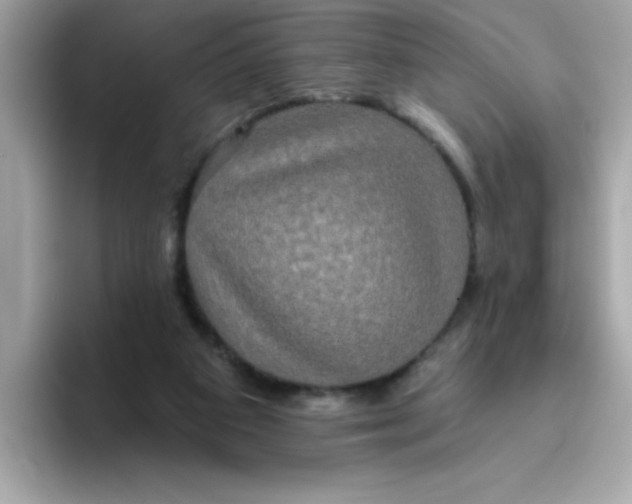 X0000094790113200711301614