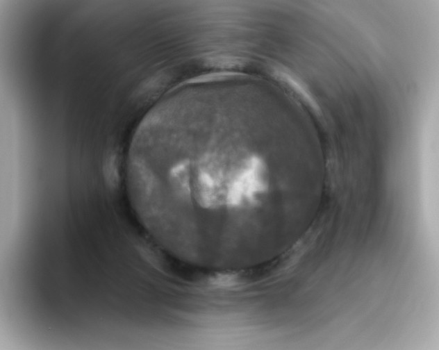 X0000094790114200711301614