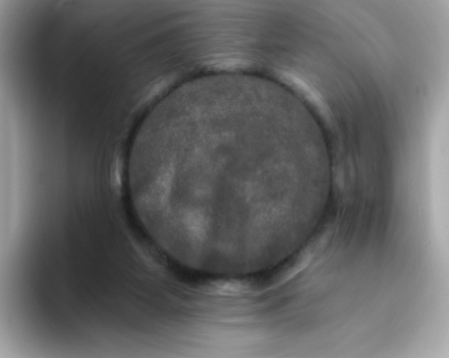 X0000094790115200711301614