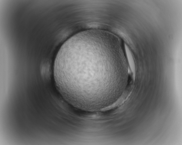 X0000094790116200711301614