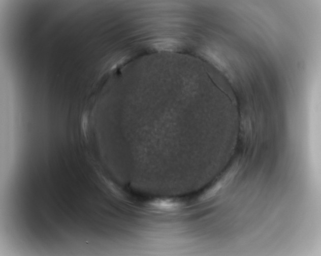 X0000094790117200711301614