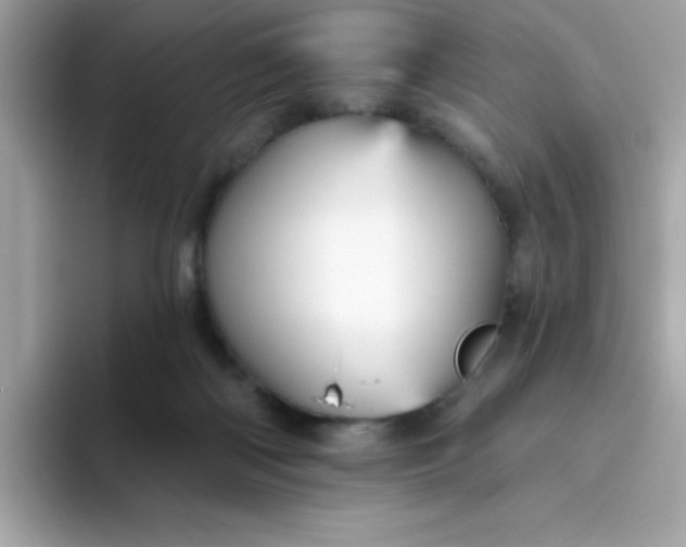 X0000094790122200711301614