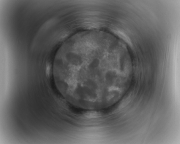 X0000094790123200711301614