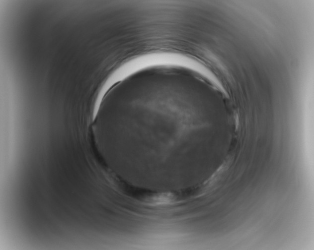 X0000094790124200711301614