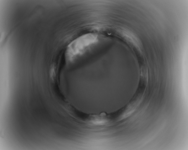 X0000094790127200711301614