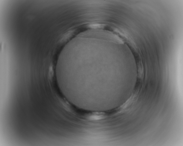 X0000094790128200711301614