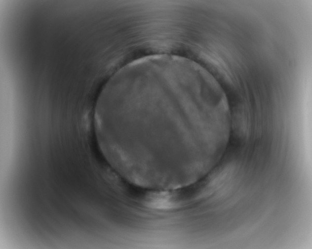 X0000094790131200711301614