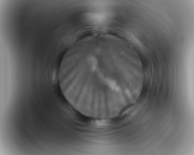 X0000094790134200711301614