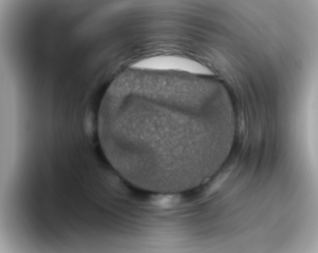 X0000094790135200711301614