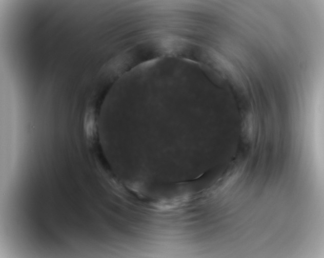 X0000094790137200711301614