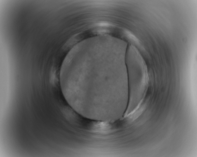 X0000094790140200711301614