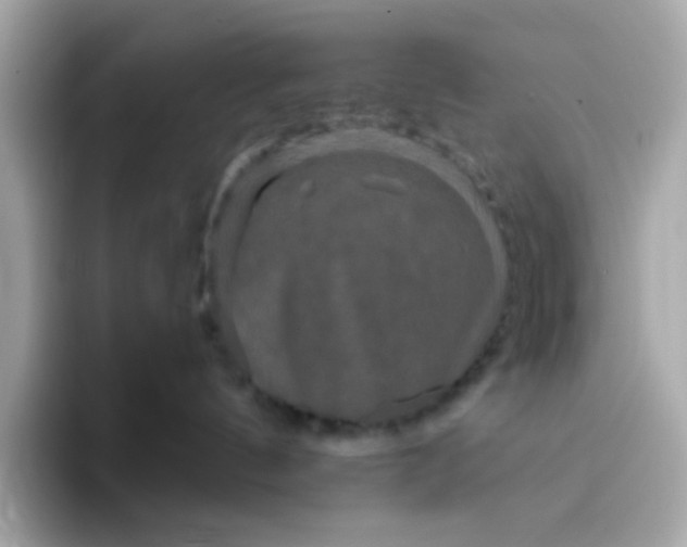 X0000094790144200711301614