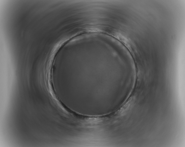 X0000094790145200711301613