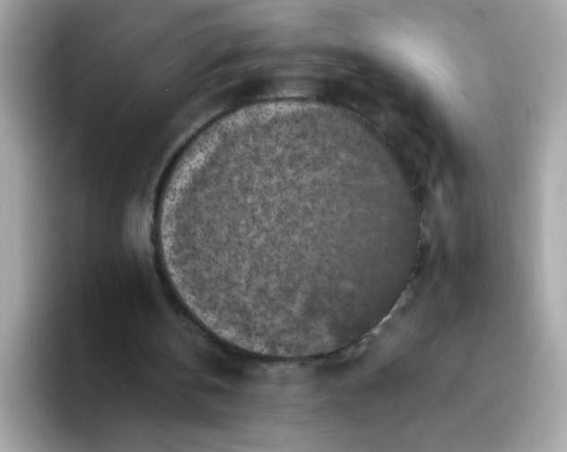 X0000094790146200711301613