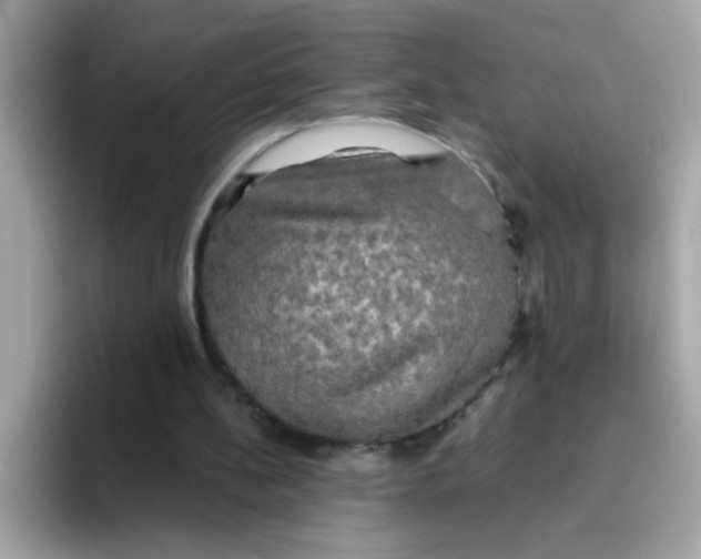 X0000094790148200711301613