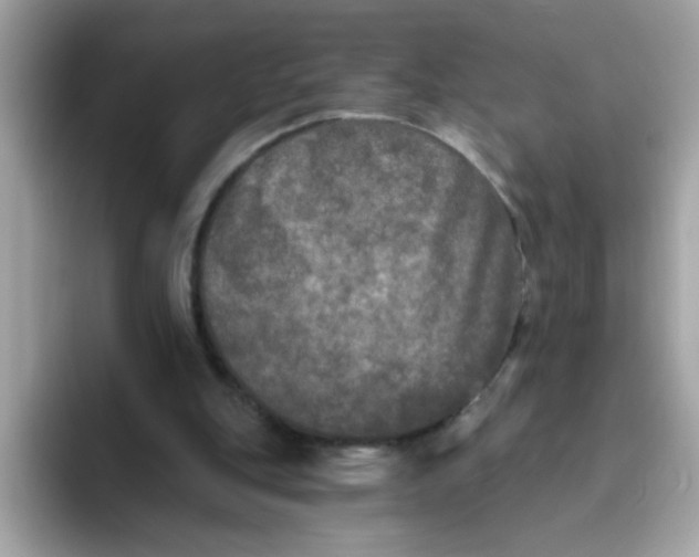 X0000094790151200711301613