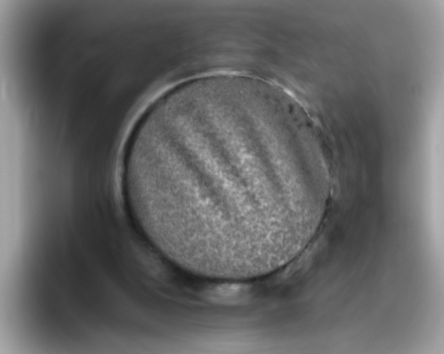 X0000094790152200711301613