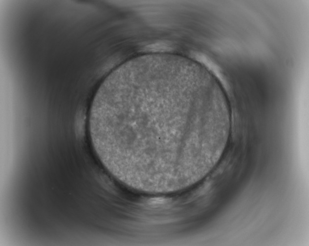 X0000094790153200711301613